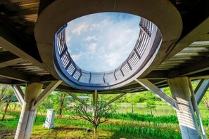 Une plateforme circulaire d’observation, offrant une vue dégagée sur le ciel, soutenue par des piliers en béton et située dans un environnement naturel.