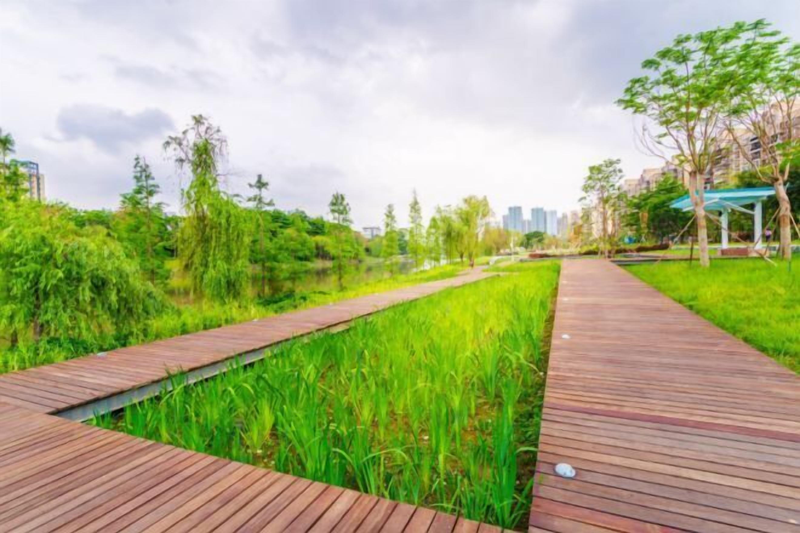 Khuôn viên nơi lưu trú