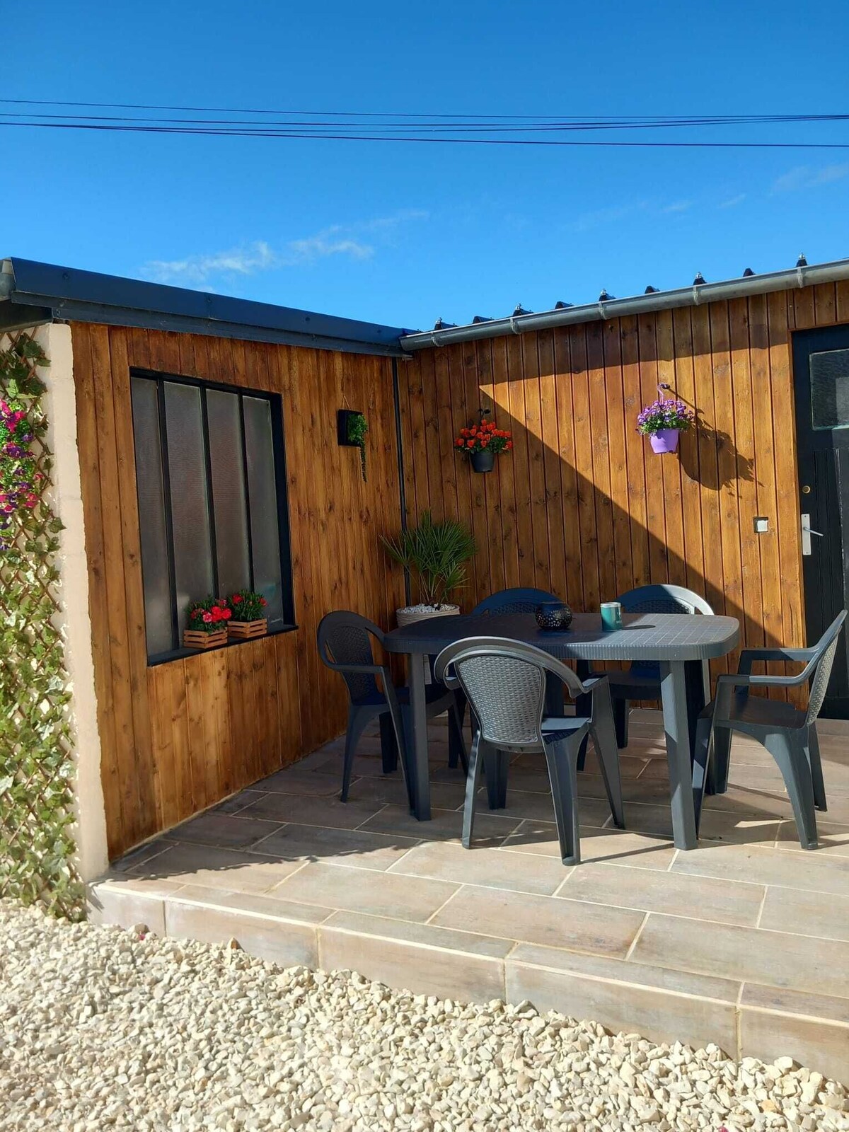 Imagen de perfil del propietario o de la propietaria