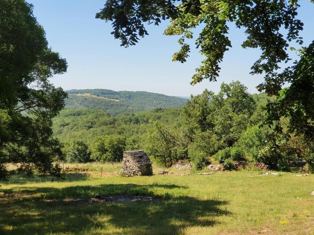 Eine steinerne Struktur in einem grasbewachsen Feld, im Hintergrund Bäume und Hügel.