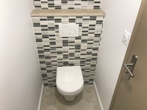 Shower, towels, toilet paper