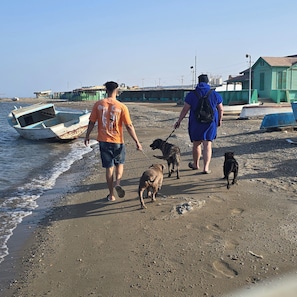 Playa