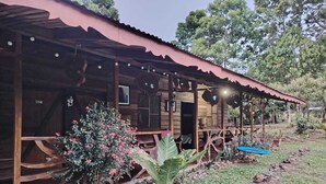 Une cabane rustique en bois, surmontée d’un toit en tôle ondulée, entourée d’un jardin où poussent diverses plantes et bordée d’un petit étang.