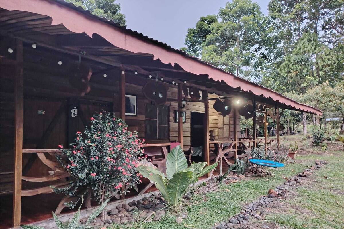 A rustic wooden cabin with a corrugated metal roof, surrounded by a garden with various plants and a small pond.