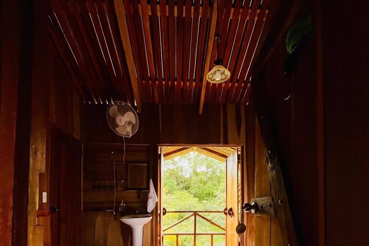 A wooden cabin with two beds, a fan, and a view of greenery outside.