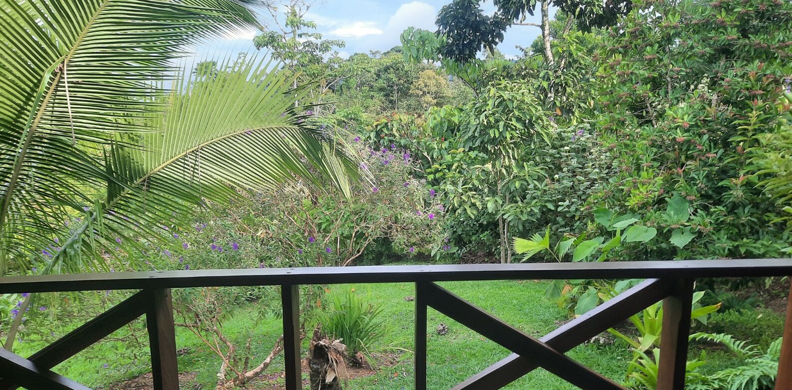 Escritorio y espacio para trabajar con laptop 