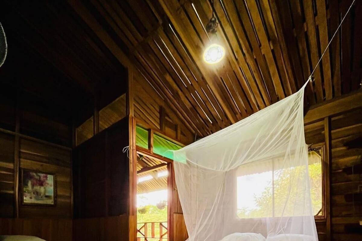A wooden cabin room with a bed under a mosquito net, a small table, and a painting on the wall.