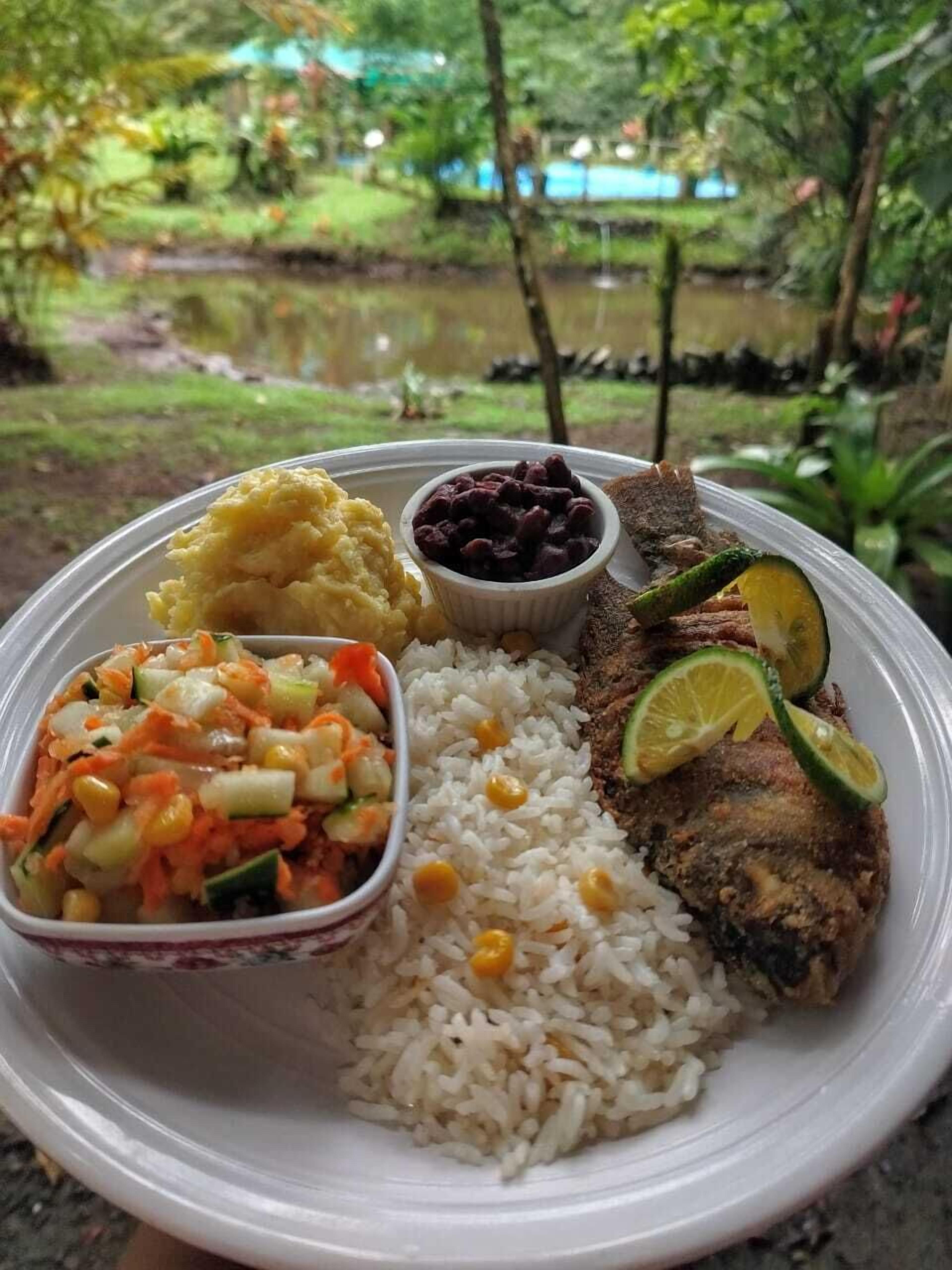 A plate with rice, a fish, mashed potatoes, a vegetable salad, and black beans.