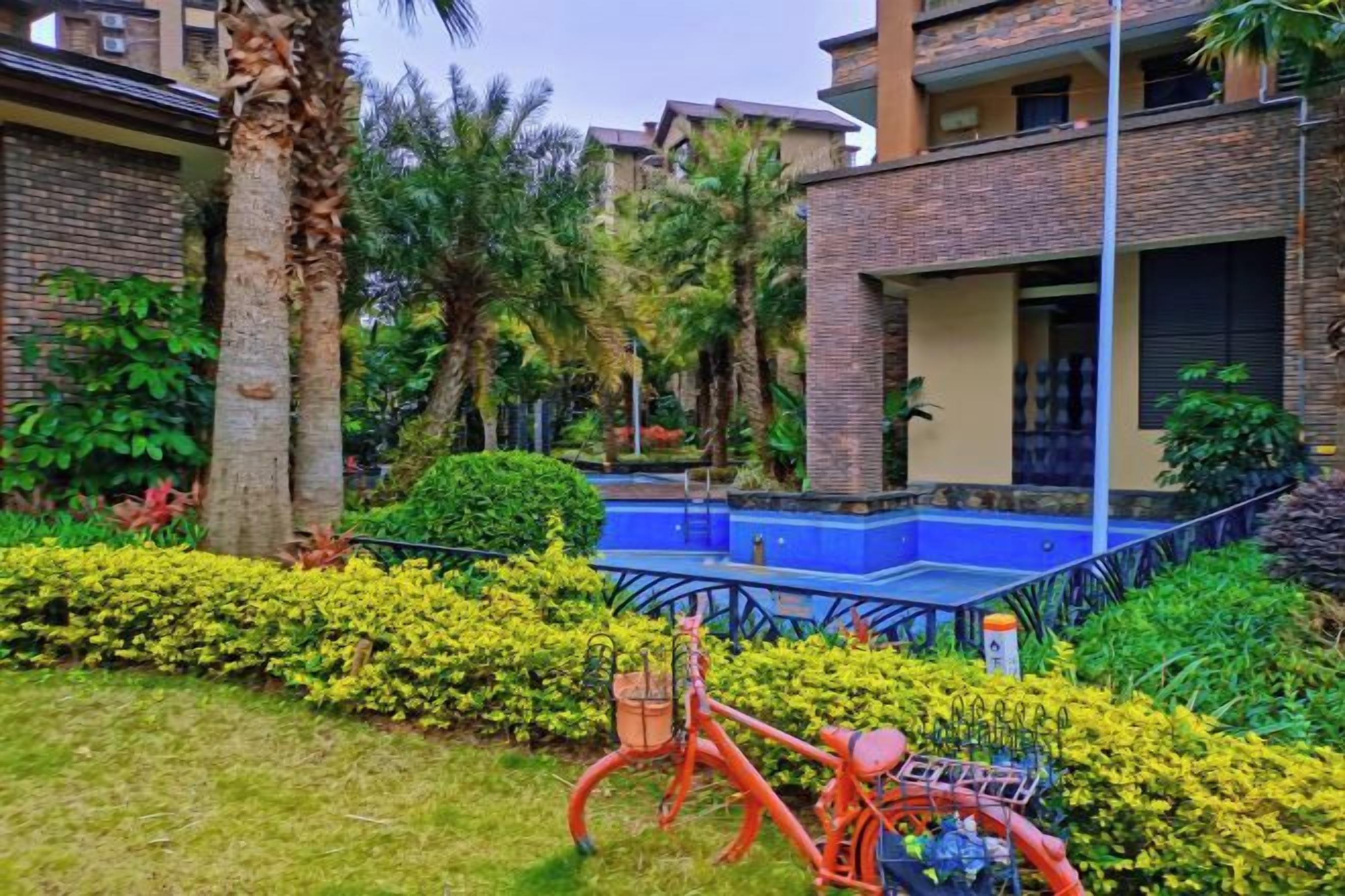 A courtyard with a pool, a bicycle, and lush greenery.