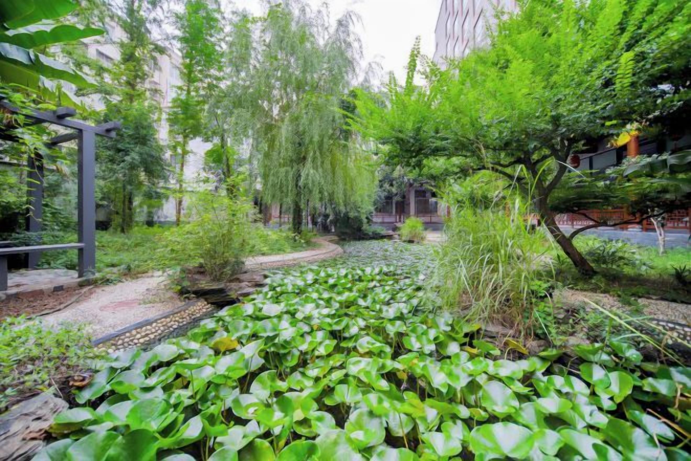Un jardín con diversas plantas y árboles, un sendero y una estructura a la izquierda.