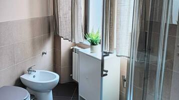 Shower, hair dryer, bidet, towels