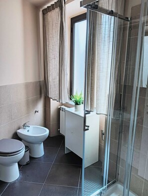 Shower, hair dryer, bidet, towels