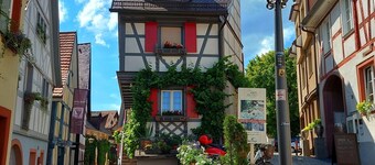 Vacation apartment "Grüne Auszeit" in Ortenberg, NEW, max 5 persons, WLAN, SmartTV