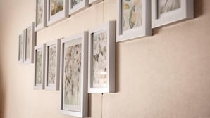A wall with multiple framed botanical prints. - Alojamiento en Centro Histórico Cusco (Cusco)
