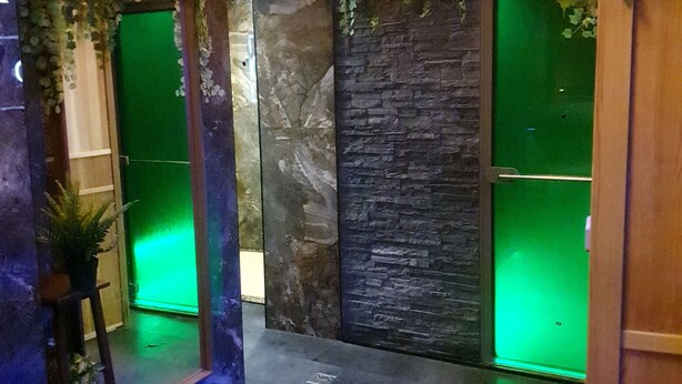 A lobby with a stone wall, a green-lit mirror, and a potted plant.