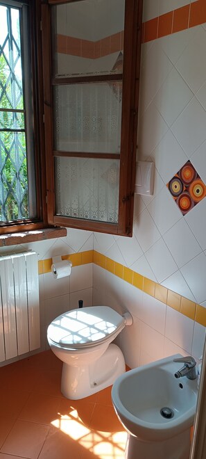 Dusche, Haartrockner, Bidet, Handtücher