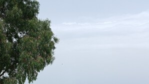 住宿场地