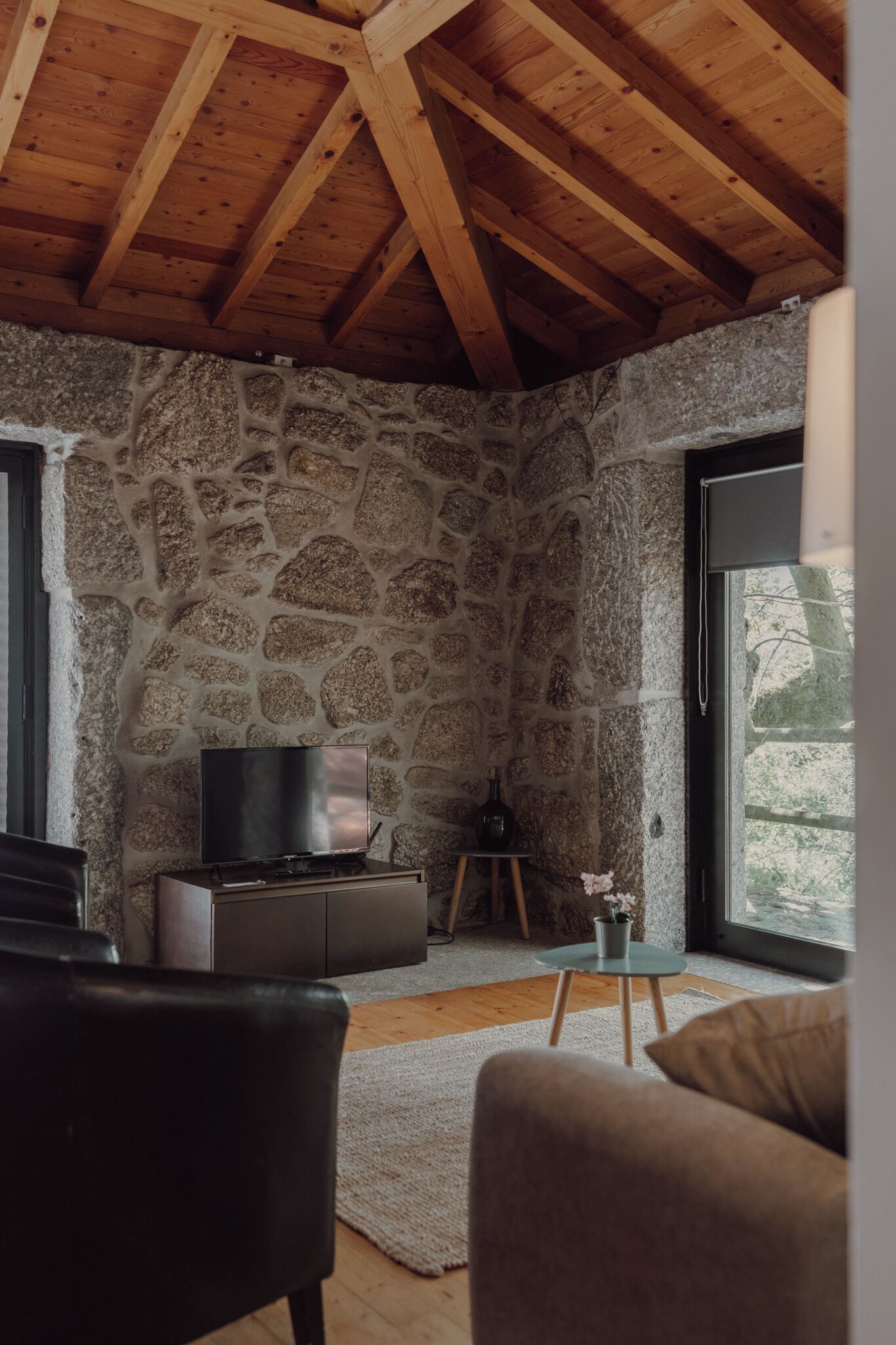 TV connectée, cheminée