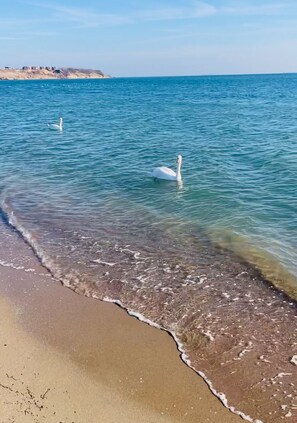 Beach - Apartment with yard, close to the sea (Burgas)