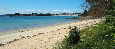 بالقرب من الشاطئ