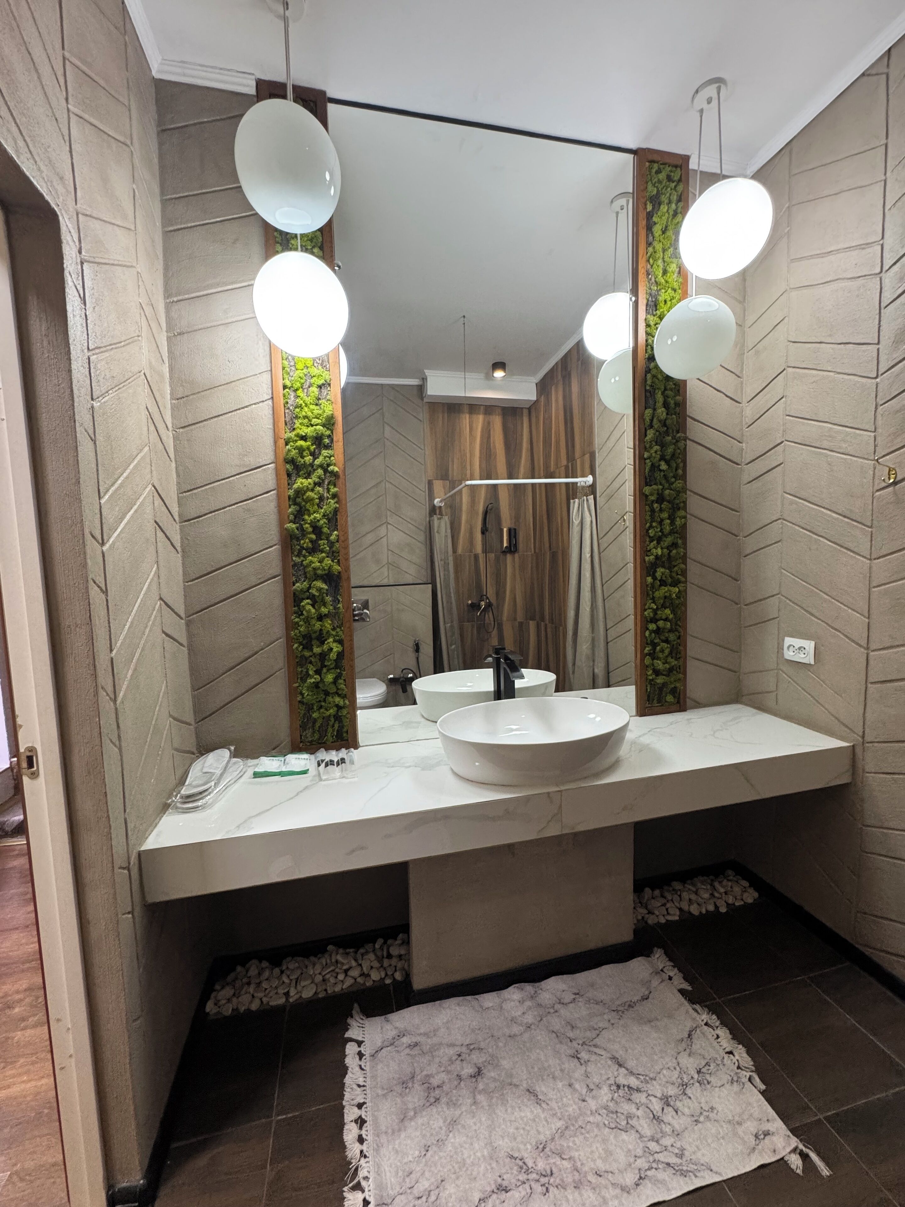 Regadera, secadora de cabello, bidet, toallas 