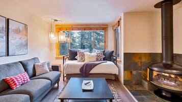 Smart TV, chimenea, libros y estéreo