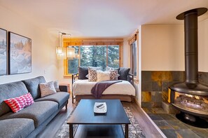 Smart TV, fireplace, books, stereo