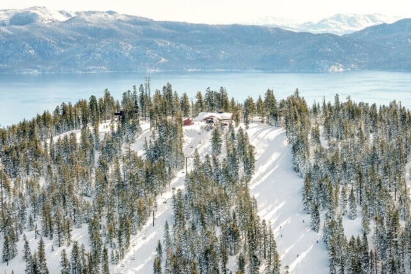 A snow-covered landscape with a cabin surrounded by dense evergreen trees.
