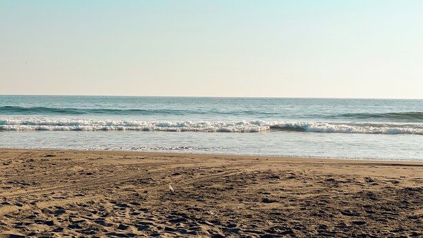 A beach with visible tire tracks and footprints, indicating frequent use. - A paradise in Playa Dorada: Modern home just steps from the beach. (Barra de Santiago)