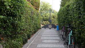 A paved pathway with a metal gate and bicycles parked on the side.