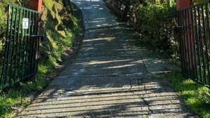 Un camino pavimentado que asciende, bordeado por abundante vegetación y un cielo azul despejado.