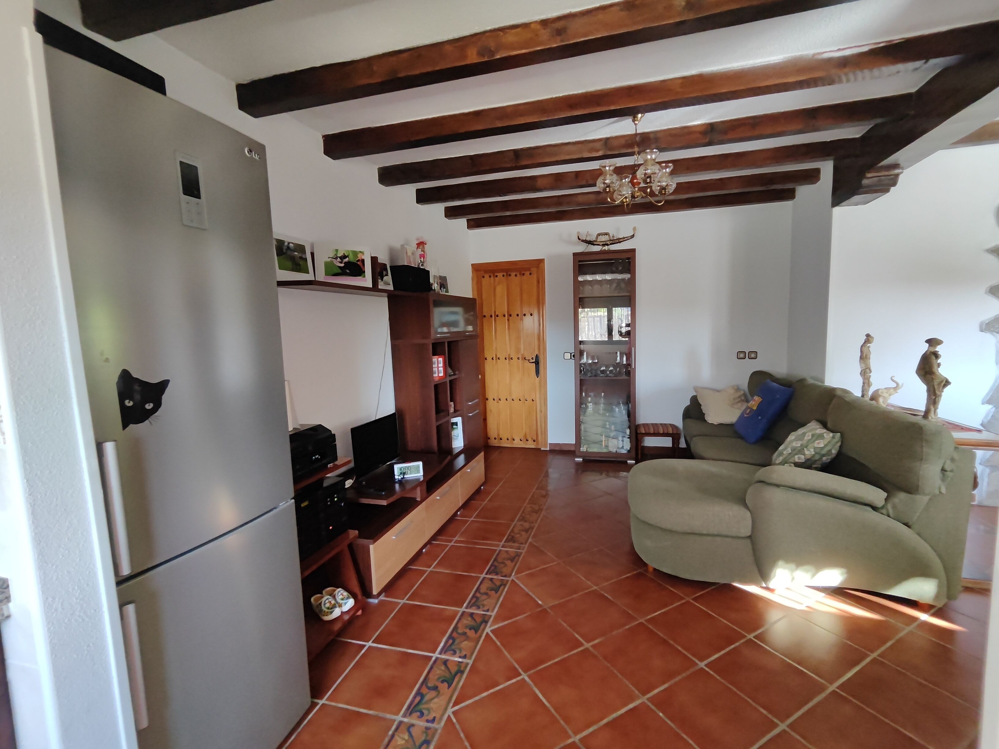 Smart-tv, pejs, bøger