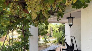 A covered outdoor seating area with a table and chairs, surrounded by a pergola with grapevines.