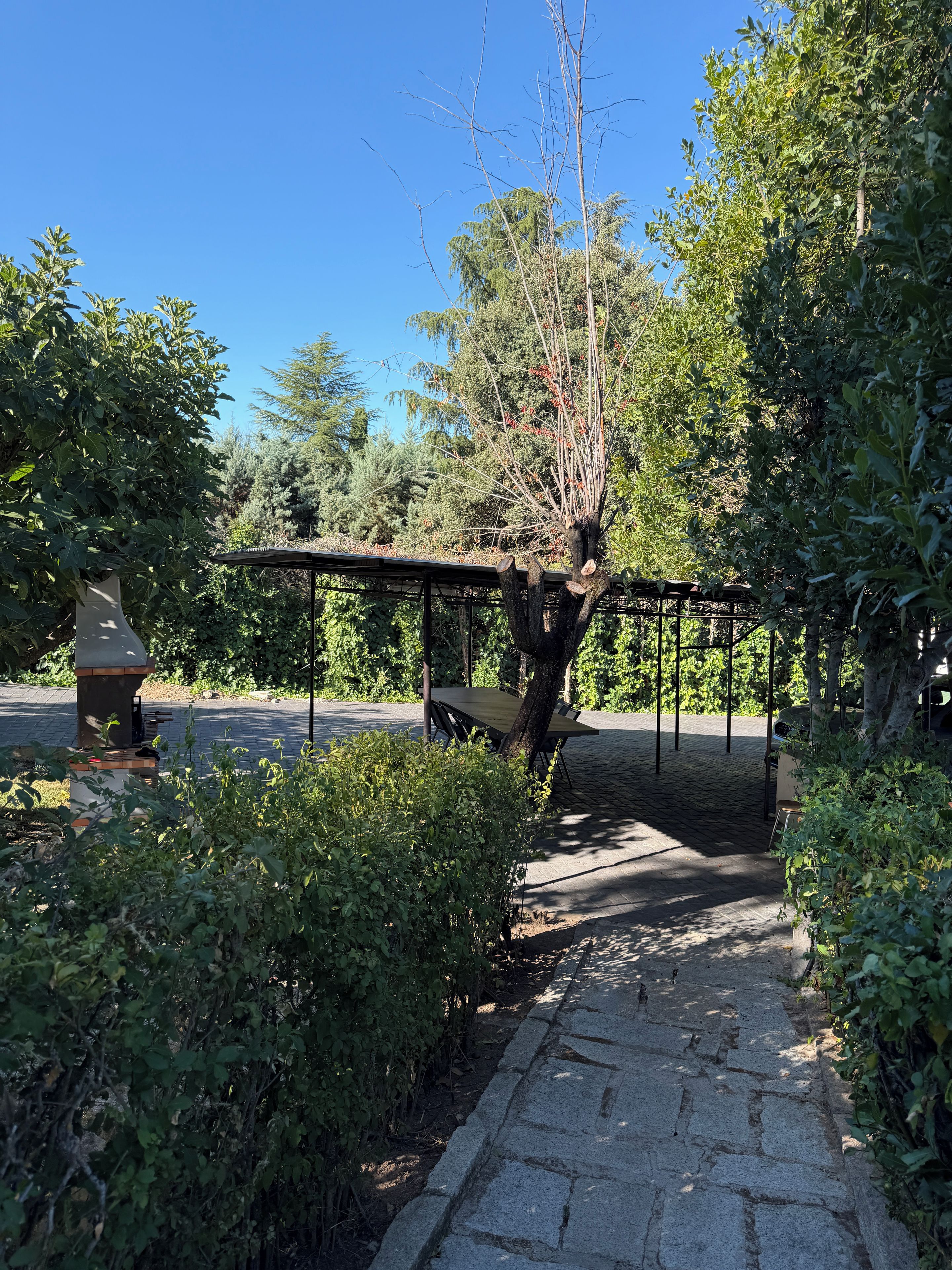 Un camino de piedra conduce a un espacio de estar al aire libre cubierto, con una estructura de pérgola.