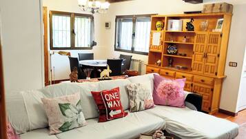 Smart TV, fireplace, books