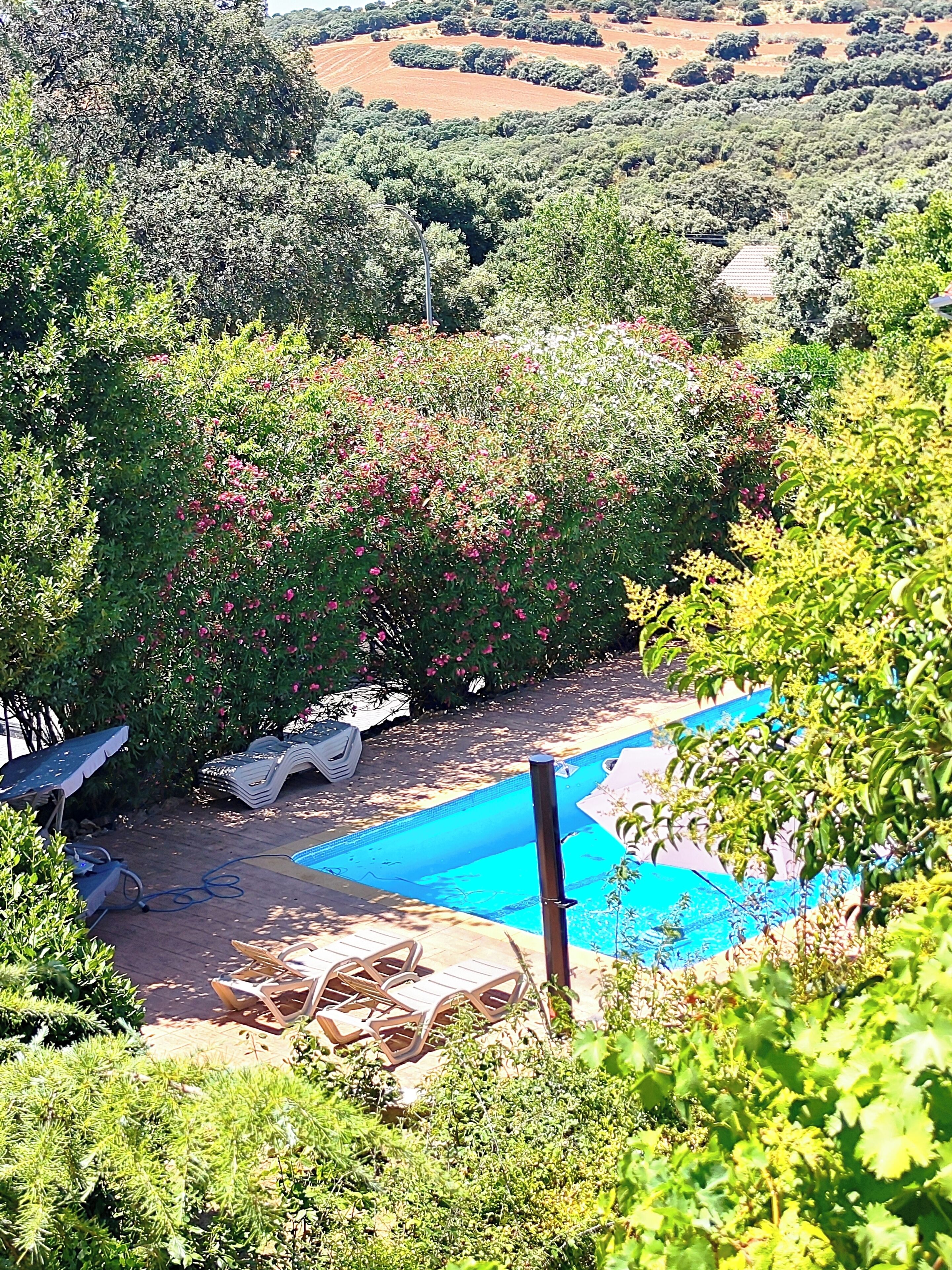 Piscine extérieure