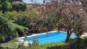 Una piscina rodeada de abundante vegetación y árboles.