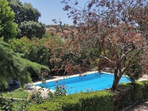 A swimming pool surrounded by lush greenery and trees.