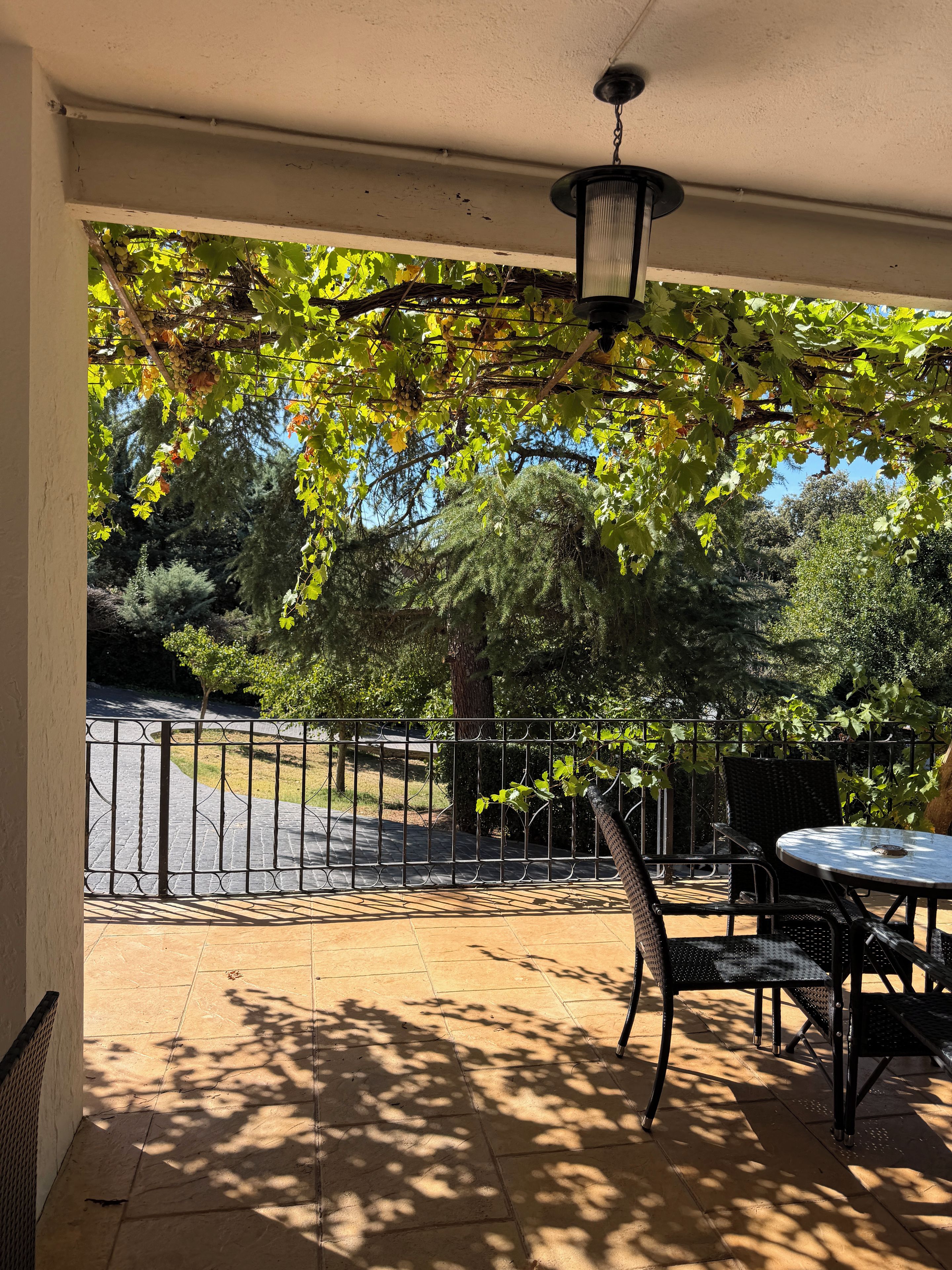 An outdoor patio with a table and chairs, a metal fence, and a view of a tree-lined street.