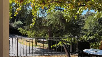 An outdoor patio with a table and chairs, a metal fence, and a view of a tree-lined street.