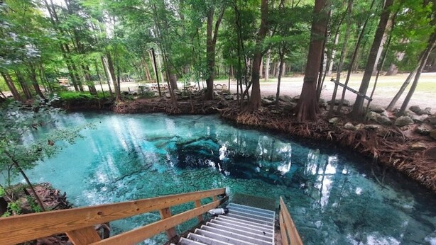 Eine Holztreppe führt hinab zu einem klaren, türkisblauen Pool, umgeben von Bäumen.