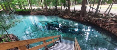 Àrea exterior de l'allotjament