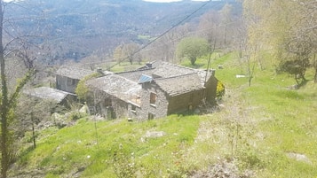 Ulkopuoli