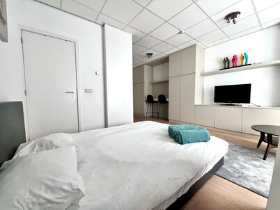 布鲁塞尔市中心开间公寓