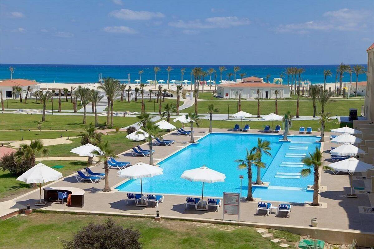 A swimming pool with lounge chairs and umbrellas, surrounded by palm trees and a view of the ocean.