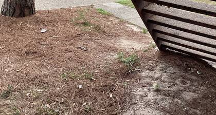Chic apartment with AC and WiFi in charming Pensacola