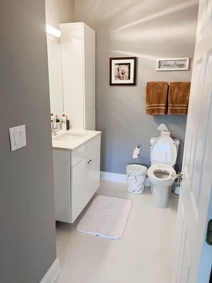 Shower, hair dryer, bidet, towels