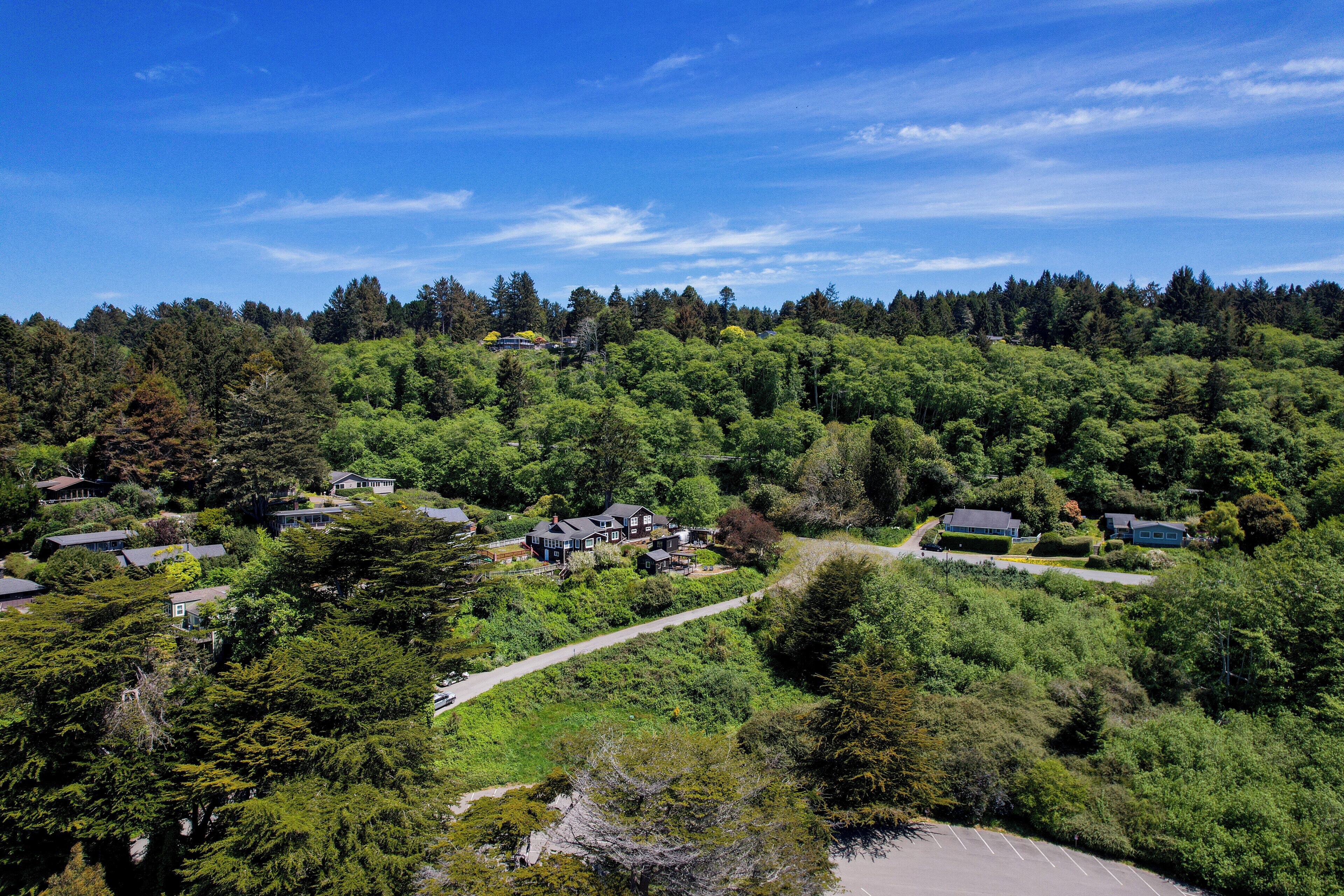 A residential area with houses surrounded by dense forest, a clear sky, and a visible road.