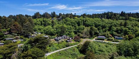 A residential area with houses surrounded by dense forest, a clear sky, and a visible road.