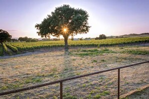 Miscellaneous - Ranch Lifestyle Tiny Home (Paso Robles)